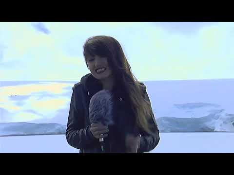 Metallica Antarctica Freeze Em All 2013