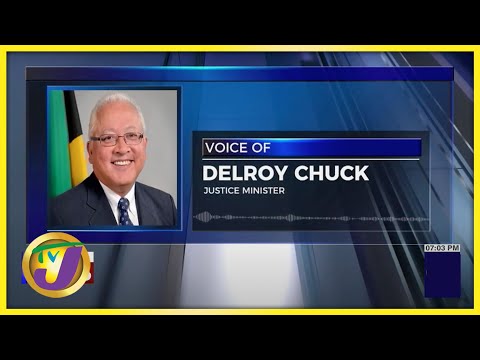 Delroy Chuck Suggest Code of Conduct for Real Estate Developers TVJ News