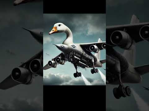 Bum bum bini gusini #bum bini gusini #edit