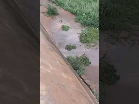 Açude de Ibititá -BA hoje 04/03/2026. #noticias #redefm