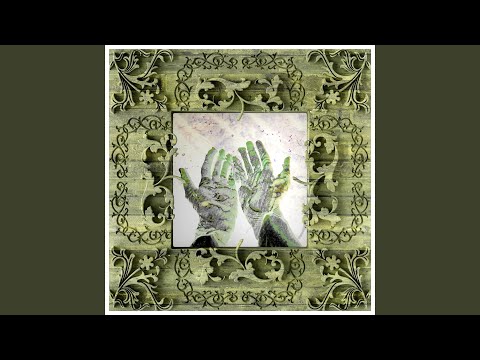 Video thumbnail for wildlife