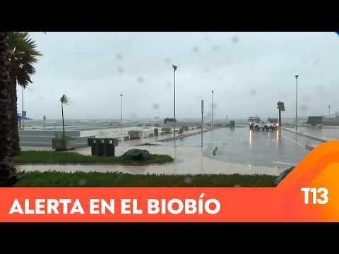 Alerta amarilla por marejadas y viento en el Biobío