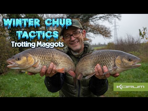Winter Chub Tactics - Trotting Maggots