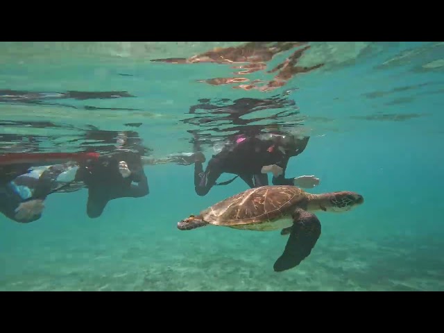 イケメンパラダイス　宮古島