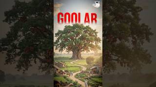 Older Than Dinosaurs - The Goolar Tree Mystery | By Ankit Agrawal #short