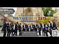 The Yale Alley Cats A Cappella Concert
