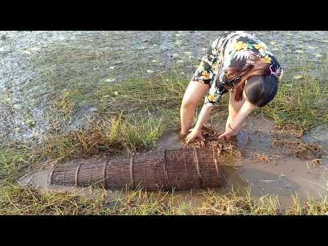 Khmer beautiful girl catch fish with tool-Amazing tool Khmer for catch fish