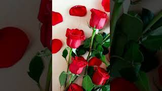 Download lagu Dj Dave - Cinta Abadi mp3 Download lagu Dj Dave - Cinta Abadi mp3