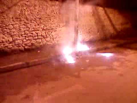 cunat e fushes loparit