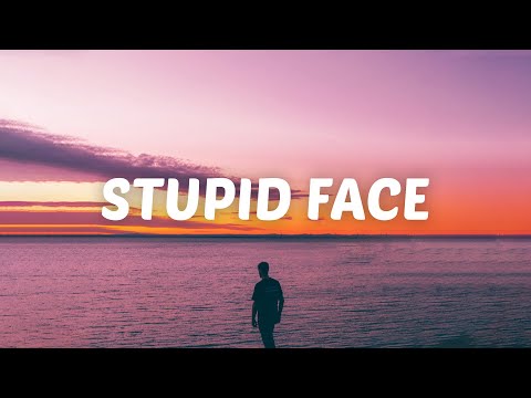 Abe Parker - Stupid Face (Lyrics)