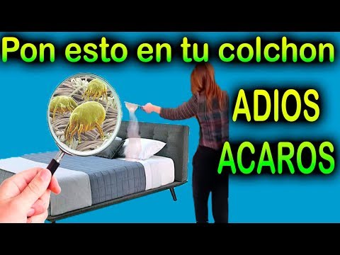download lagu mp3 mp4 Acaros, download lagu Acaros gratis, unduh video klip Download Acaros Mp3 dan Mp4 Full Gratis