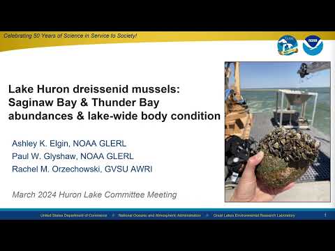 LHC 20 Lake Huron dreissenid mussels: Saginaw Bay and Thunder Bay abundances