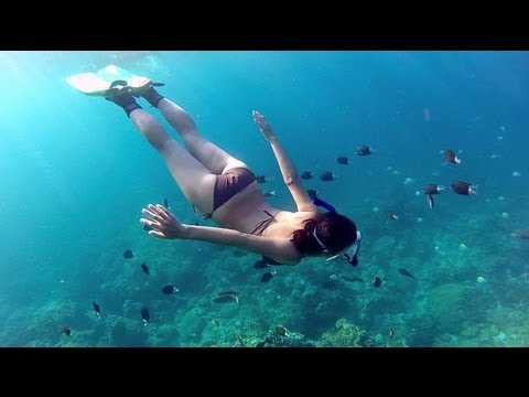 Snorkeling Green Island