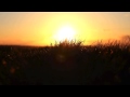 Best Of Liquid Drum & Bass Mix vol. 1 