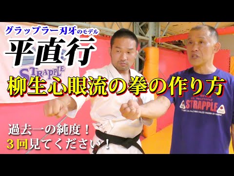 【グラップラー刃牙 平直行　其の二】指の名前の意味、電圧の話、人体の神秘、３回見ないと解りません【柳生心眼流】
