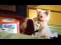 Nick Jr Abby S Friends
