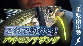 【バチコン】仕掛け・誘い・タックル完全解説！バチコンアジング大全 / 中島成典
