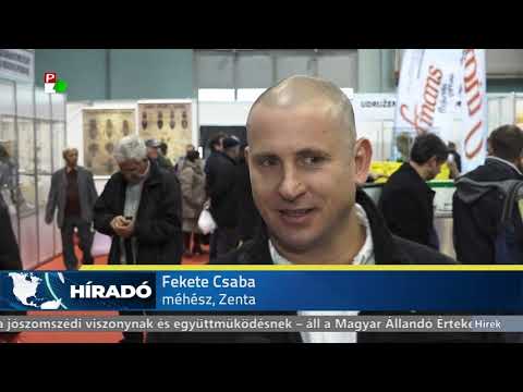 Híradó - 2018-11-17 17:30h