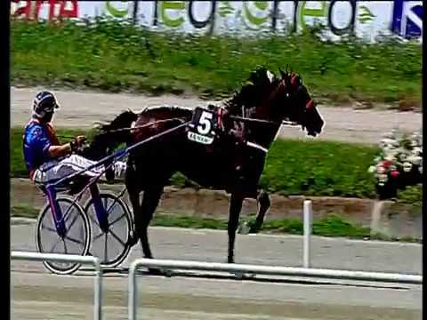 Trotto 21/06/2018 - 1ª corsa