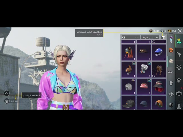 حساب ببجي عالمية  كل مسج