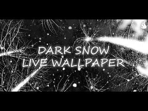 Dark Snow Live Wallpaper Video