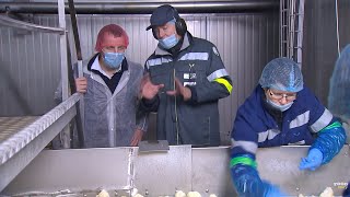 Thumbnail del capítulo