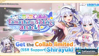 NoriPro Collab Tamashiro Siblings attack! | Full Story Movie No Gameplay | Legeclo: Legend Clover