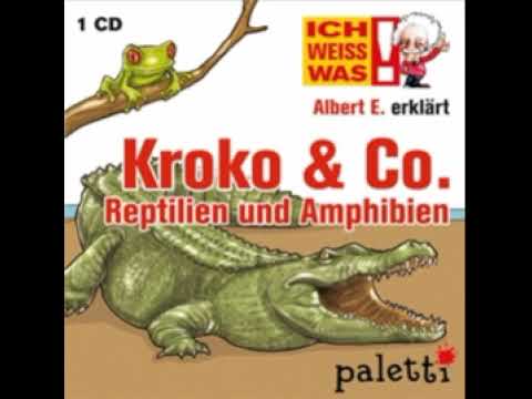 Albert E. erklärt Kroko & Co