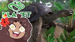 Crawling in Caves with CRANKY Tortoises!! 🐼 Zoo