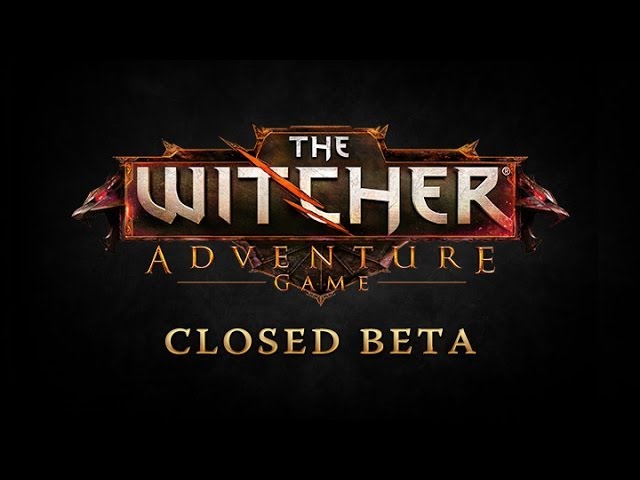 The Witcher Adventure Game