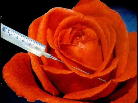 DANTE - D.R.O.G.A (2009)