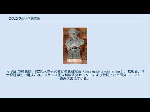 Nuvola アプリの教育言語.svg