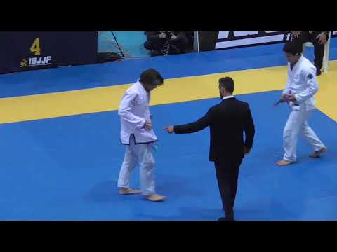 Andy Murasaki vs Nicolas Werner   FINAL   IBJJF European Open 2019   Purple Adult   Light