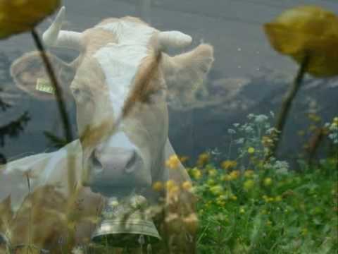 Visit Switzerland with HolidaysToEurope.com.au