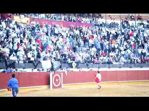 Toros Priego de Cordoba Curro Jimenez.mp4