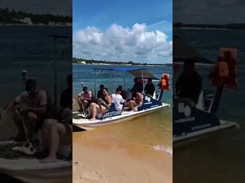 Curtam este paraíso que é o litoral sul de Alagoas!#turismo#viagem#praiadogunga#barradesaomiguel