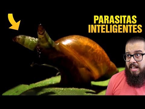 Figyeljen egy parazita csoportot