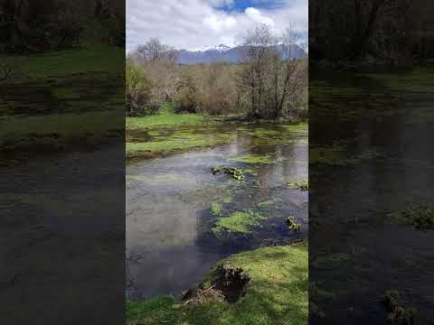 Chacra en EL Bolsón, Mallí ahogado con acceso al Arroyo del Medio #paisajesextremos #vistashermosas