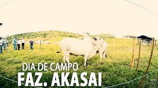 preview picture of video 'Dia de Campo (Fazenda Akasai)'
