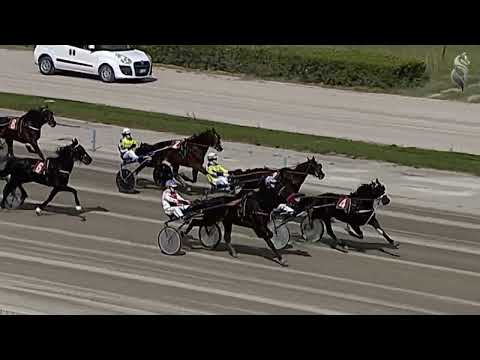 Aversa trotto 4 Maggio 2022 - 2° Corsa