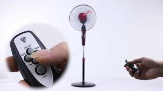 Miniatura de vídeo 1