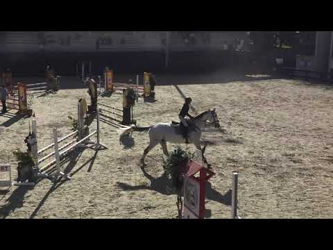 Kayra Artam - Highlander - 4.02.2021 - İASK Kupası 80 cm YB Üçüncüsü