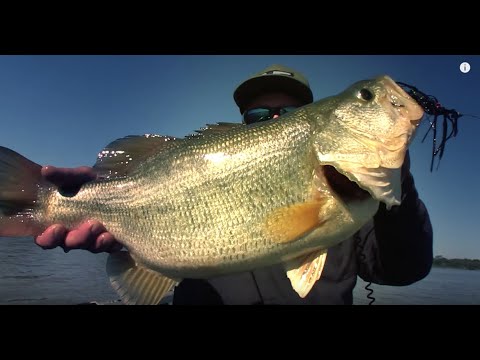 GEOBASS: MEGA LARGEMOUTH BASS BOTSWANA, AFRICA