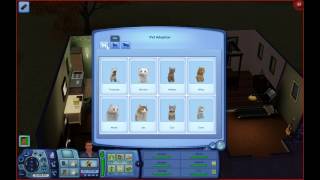 The Sims 3: How to Adopt a Pet