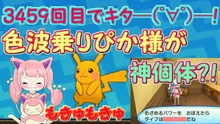 ポケモンusum ブルルドヒドイデ軸のサザンガルドが強い تنزيل الموسيقى Mp3 مجانا