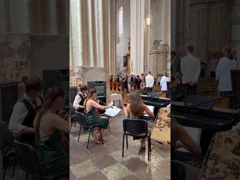 Styginių kvartetas/trio 4strings #2