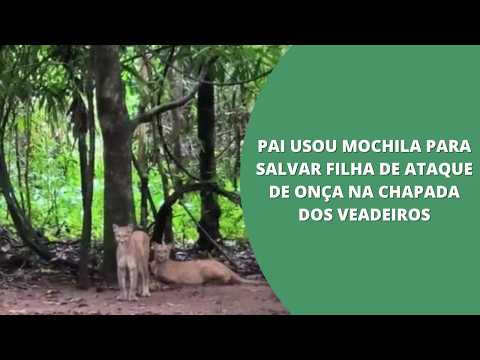 Pai usou mochila para salvar filha de ataque de onça na Chapada dos Veadeiros, diz turista