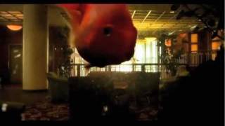 The Notwist: Good Lies