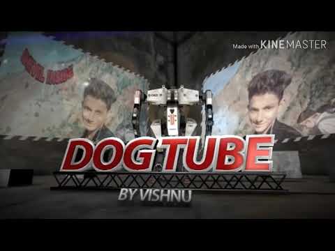 AmAzing german sherpherd dog