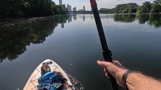 Paddle Board, Town Lake, Austin TX, August 2, 2025 - GoPro Hero 11